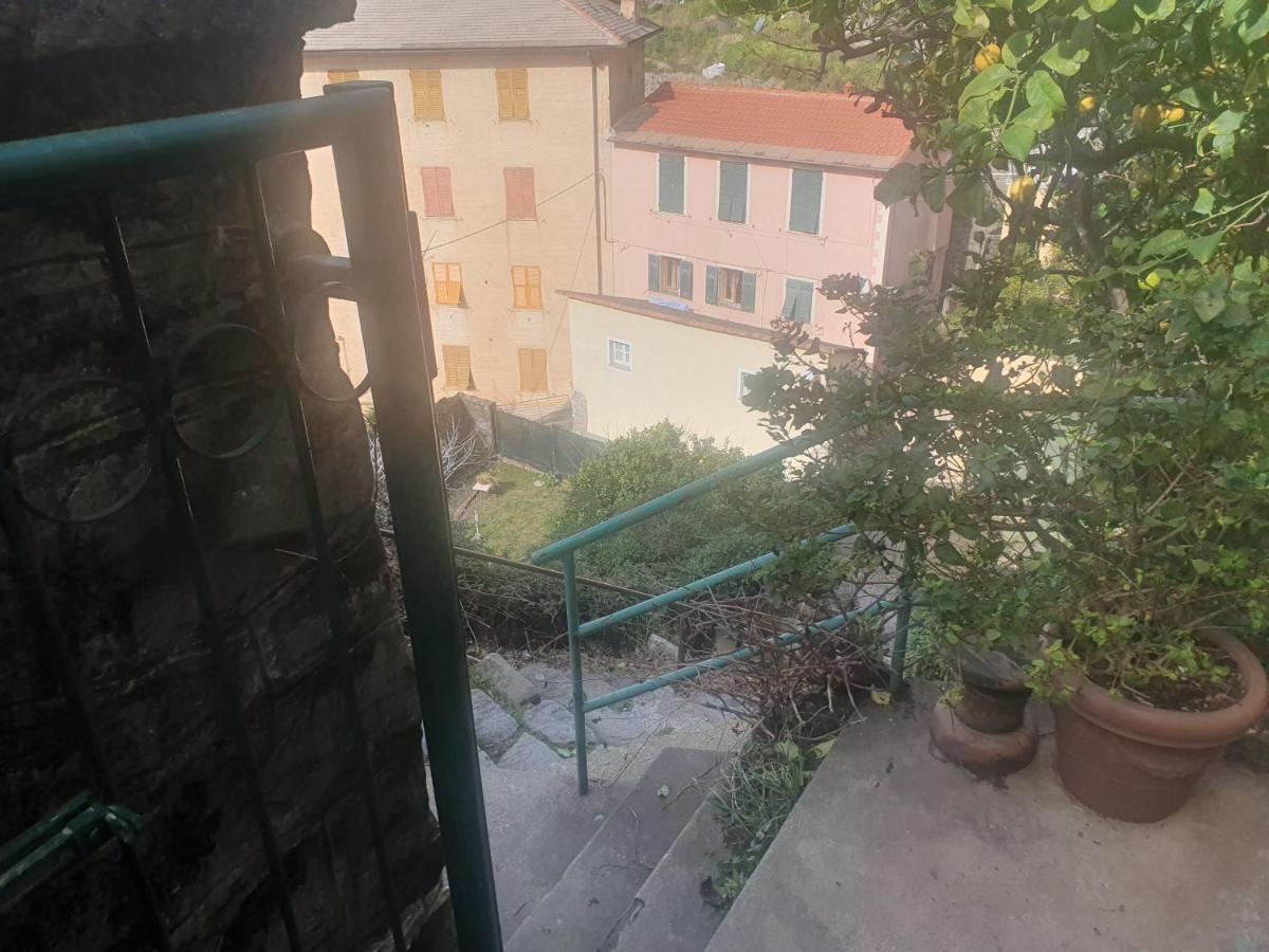 Monterosso Servano's Villas Monterosso al Mare Esterno foto
